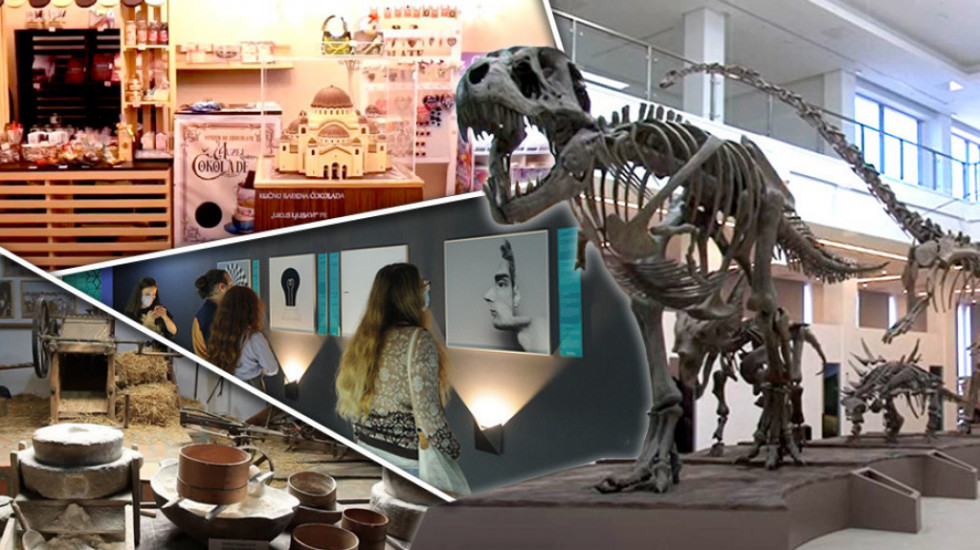 Pet muzeja u Srbiji koje će deca obožavati - od dinosaurusa i starih igračaka do mozgalica