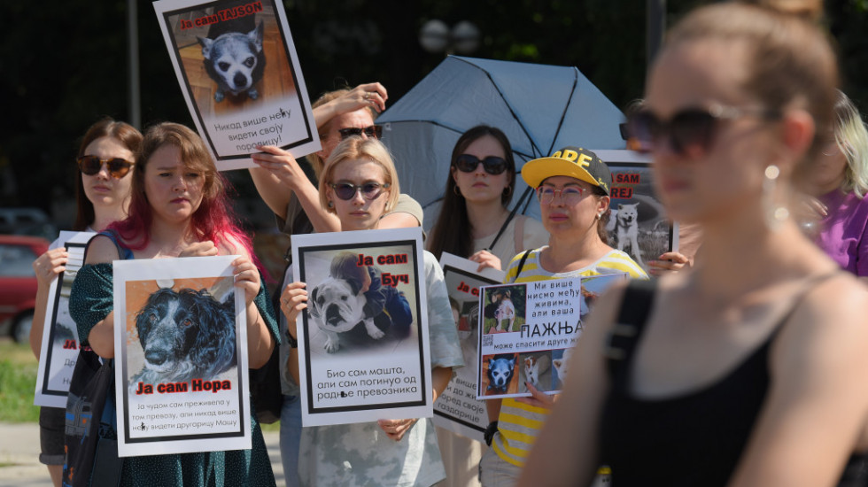 Protest ispred Uprave za veterinu u Begradu: Demonstranti zahtevaju čipovanje i sterilisanje svih lutalica