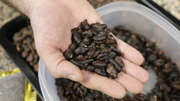 Kakao dostiže rekordne cene zbog suše u zapadnoj Africi, očekuje se i poskupljenje čokolade