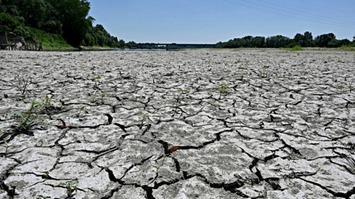 Suša u Evropi epskih razmera: Nema vode ni za ljude, ni za biljke, a nema ni rešenja na vidiku