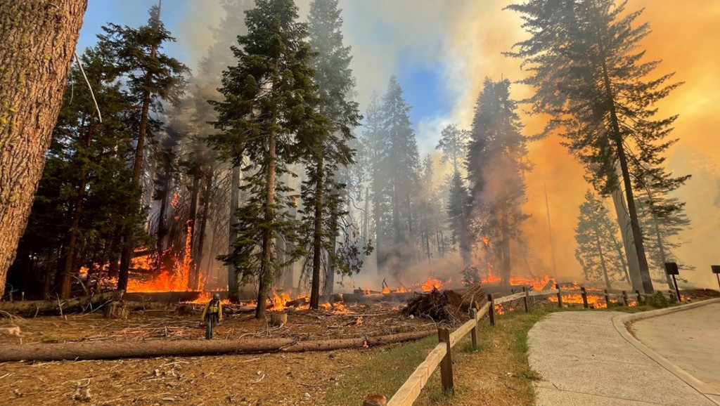 Gori američki nacionalni park Josemit – vatogasci se bore sa plamenom