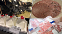 Zabrinjavajući rezultati nove studije: Mikroplastika prisutna u 73 odsto mesnih i mlečnih proizvoda