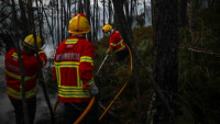 Veliki šumski požari u Portugalu, povređeno 29 osoba