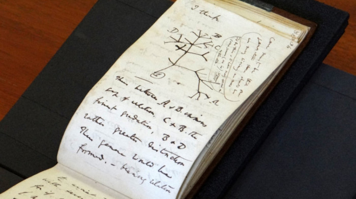 "Nestale" beleške Čarlsa Darvina izložene u Kembridžu
