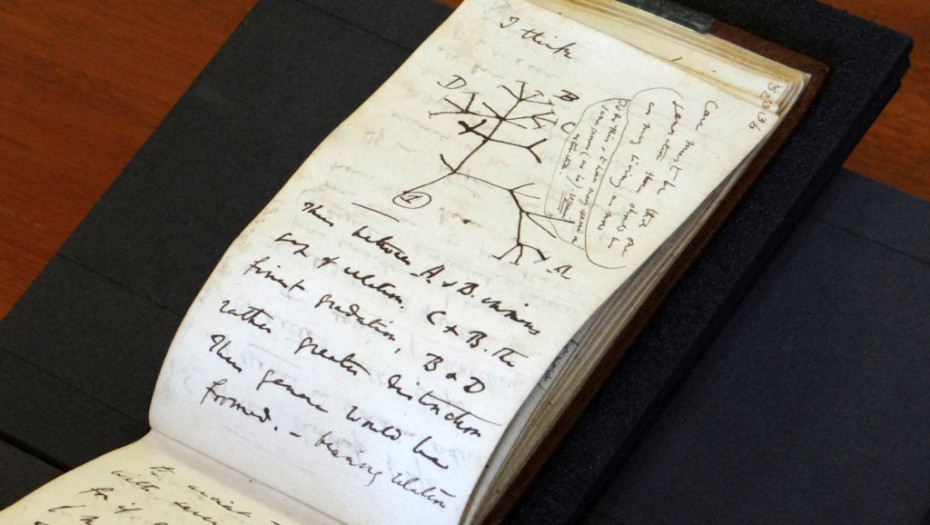 Dokument sa potpisom Darvina na aukciji kod Sotbija