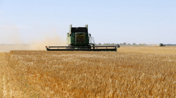 Blagi rast cena kukuruza i pšenice, i dalje pad cena soje