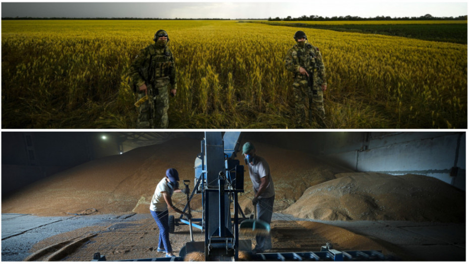 Rezultati pregovora u Turskoj o izvozu žita, Zelenski: Došlo do napretka, Zaharova: Razgovori će se nastaviti
