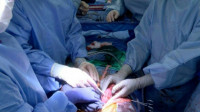 Iskorak nauke: Uspešne transplantacije dva genetski modifikovana svinjska srca osobama s moždanom smrću