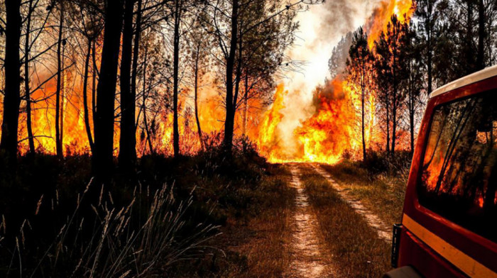 Požari u Francuskoj zahvatili skoro 10.000 hektara šume