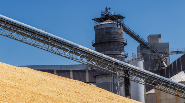 Republički zavod za statistiku: Do 5. septembra proizvedeno blizu 3,5 miliona tona pšenice