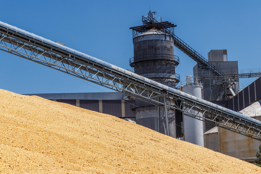 Republički zavod za statistiku: Do 5. septembra proizvedeno blizu 3,5 miliona tona pšenice