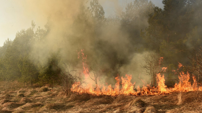 Proširio se požar iznad naselja Zelenika u Herceg Novom