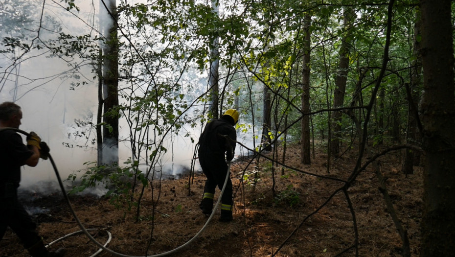 "Odbranjeni su svi objekti", radi se na lokalizaciji požara kod Malog Zvornika