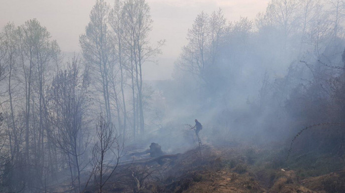 Ugašen požar u Nacionalnom parku Fruška Gora, najavljene prijave protiv NN lica