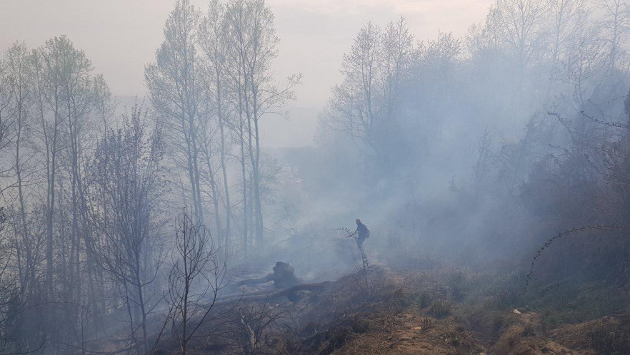 Ugašen požar u Nacionalnom parku Fruška Gora, najavljene prijave protiv NN lica