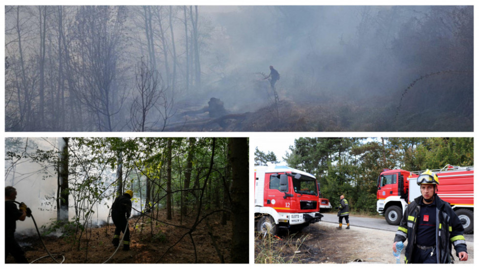 Samo u julu u Srbiji registrovano oko 2.200 požara: U 98 odsto slučajeva uzrok je ljudski faktor