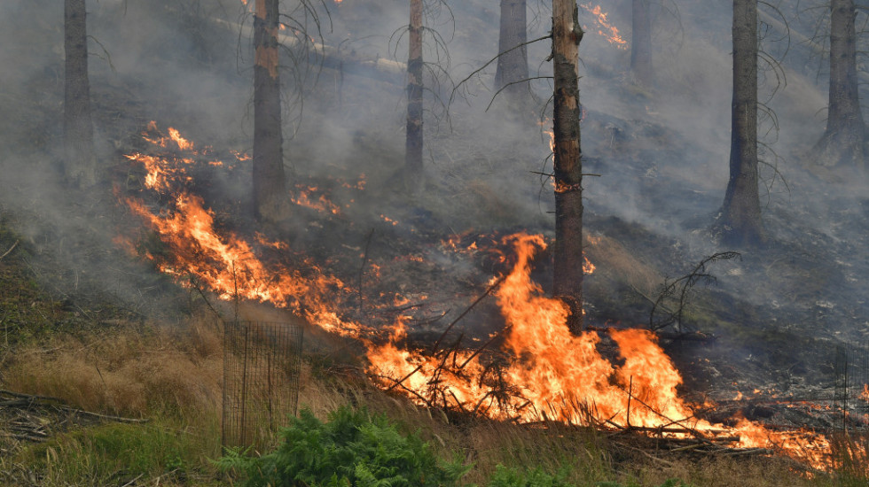 Izgorelo 250 hektara borove šume u Francuskoj, povređena četiri vatrogasca