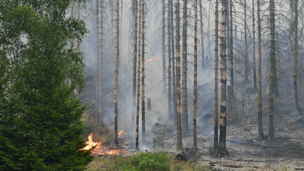 Novi požar u rezervatu "Pašnjaci velike droplje" u Banatu