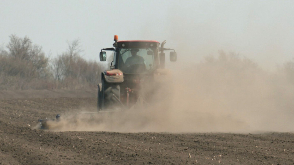 Zbog velike suše očekuje se smanjeni prinos kukuruza - ratari zabrinuti, stručnjaci rešenje vide u navodnjavanju