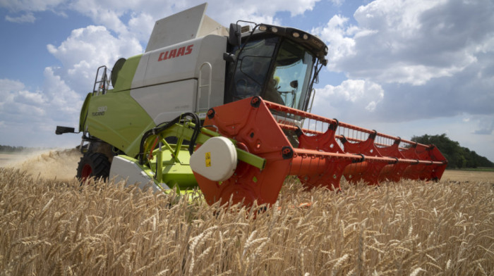Stabilizovano svetsko tržište žita: Cena na godišnjem minimumu od 300 evra po toni kao pre rata u Ukrajini