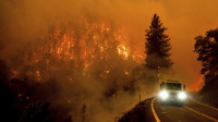 Požar u Kaliforniji već spalio 21.000 hektara zemlje, vanredno stanje u Siskiju