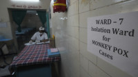 Indija potvrdila prvi smrtni slučaj od majmunskih boginja