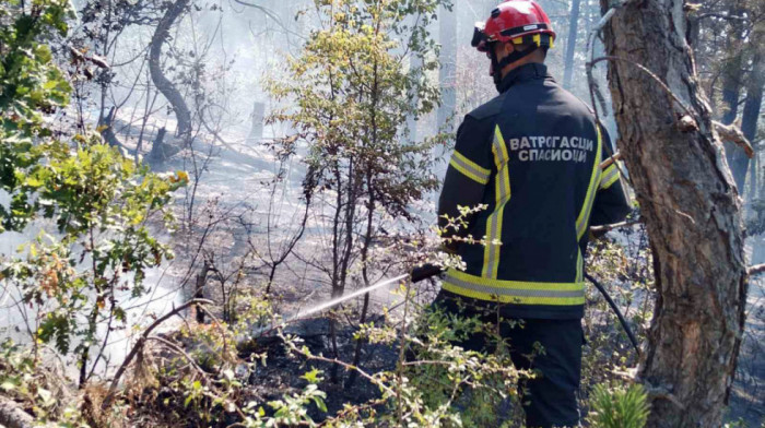 MUP: Požar kod Novog Pazara pod kontrolom, u toku dogašavanje