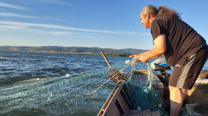 Svežu rečnu ribu mogla bi da zameni zamrznuta - sve manje alasa u Srbiji, a potražnja sve veća