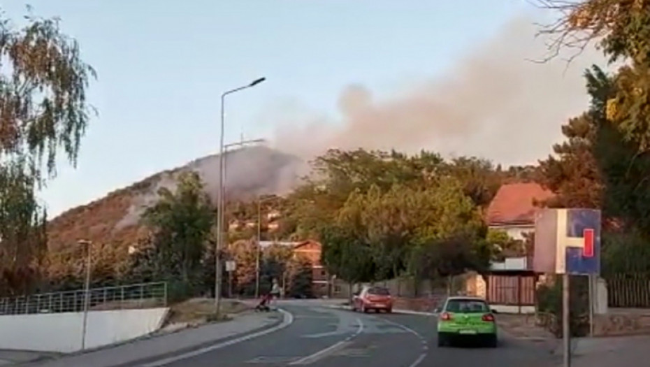 Požar na Vršačkom bregu: Vatra i dalje gori, angažovani svi raspoloživi vatrogasci