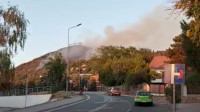 Požar na Vršačkom bregu: Vatra i dalje gori, angažovani svi raspoloživi vatrogasci