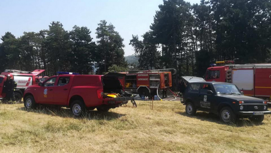 Buknuo požar i na Fruškoj gori: Izgoreo hektar šume bagrema i crnog bora