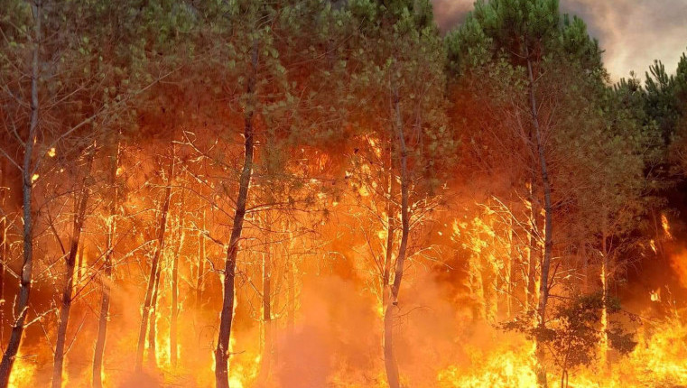 Veliki šumski požari u Francuskoj, uništeno 16 kuća, hiljade ljudi evakuisano