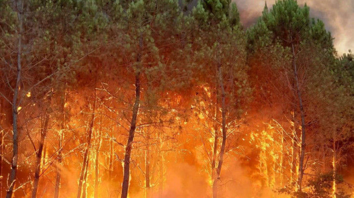 Veliki šumski požari u Francuskoj, uništeno 16 kuća, hiljade ljudi evakuisano