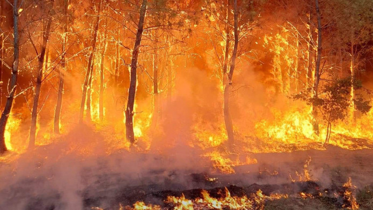 Veliki šumski požari u Francuskoj, uništeno 16 kuća, hiljade ljudi evakuisano