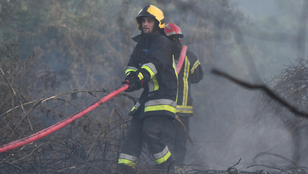 Lokalizovan požar kod Rafinerije u Novom Sadu, gorelo nisko rastinje