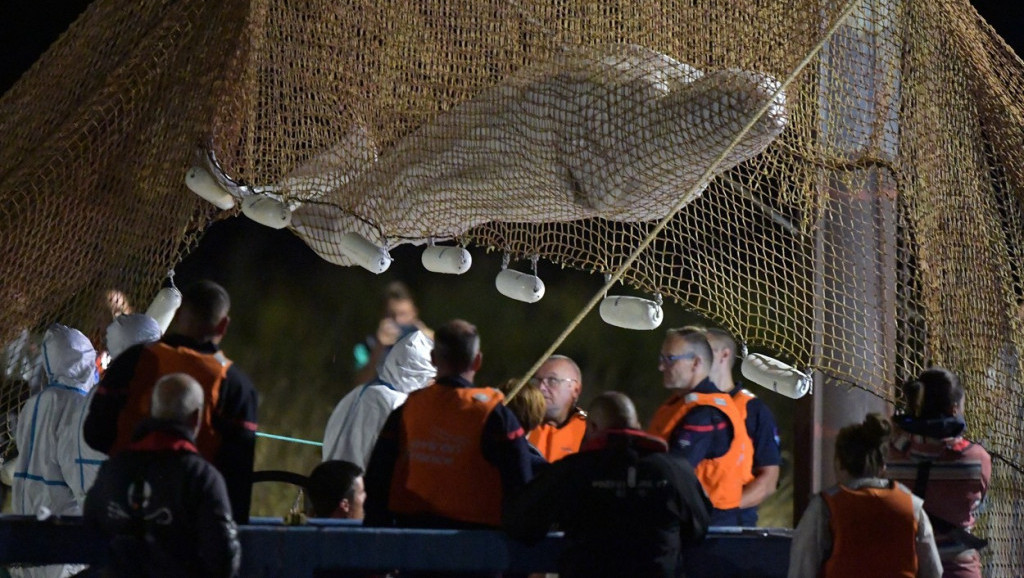 Kit beluga izvučen iz Sene nije preživeo: Više od 80 spasilaca borilo se više od šest sati da izvuku životinju iz reke