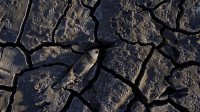 Ekstremna suša u Portugalu, ministar životne sredine: Situacija je kritična, vlada traži da se poveća cena vode