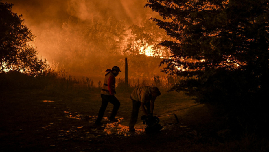 Šumski požari od početka godine u EU spalili površinu veliku kao dva Sremska okruga