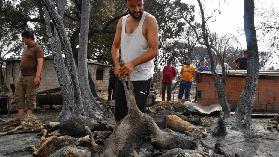 U požarima u Alžiru 37 poginulih, povređene 183 osobe