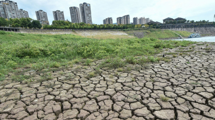 "Smrtna presuda za ljude i ekosisteme": Prosečna globalna temperatura 3. jula rekordno visoka - 17 stepeni Celzijusa