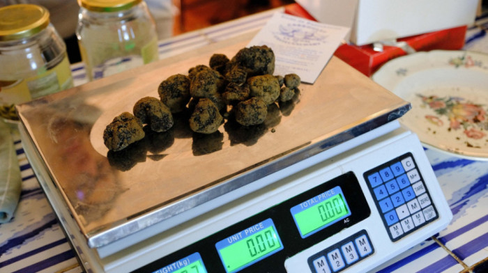 Ministarstvo zaštite životne sredine ponudilo na prodaju 75,5 kilograma zaplenjenih tartufa