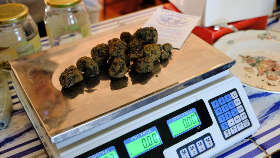 Ministarstvo zaštite životne sredine ponudilo na prodaju 75,5 kilograma zaplenjenih tartufa
