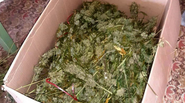 Policija u Sremskoj Mitrovici zaplenila džakove sa više od 20 kilograma sirove marihuane, uhapšen osumnjičeni
