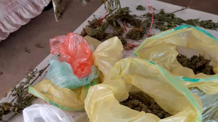 Policija na salašu u Donjem Milanovcu pronašla 21 kilogram marihuane, uhapšen osumnjičeni