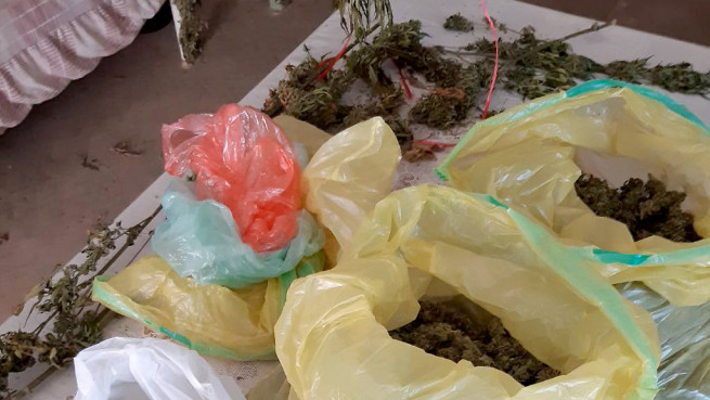 Policija na salašu u Donjem Milanovcu pronašla 21 kilogram marihuane, uhapšen osumnjičeni