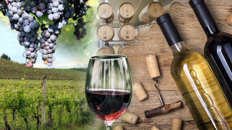 Srbija na vinskoj mapi sveta: Čokota sve više, 400 vinarija godišnje proizvede 30 miliona litara, a potencijala još ima