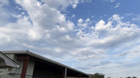 Rešena dramatična situacija iznad Misisipija – uhapšen pilot koji je pretio da će srušiti avion na supermarket