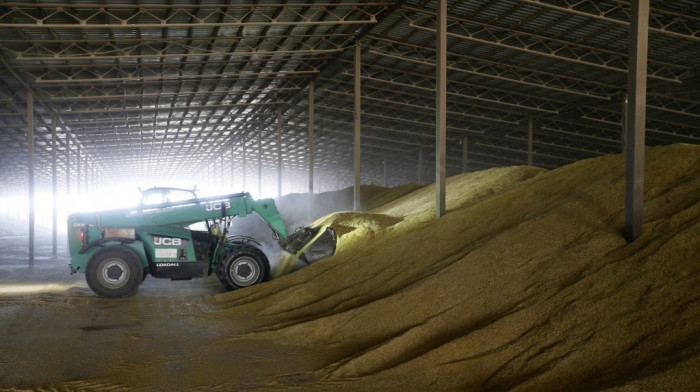 Vlada odobrila otkup 50.000 tona pšenice od malih proizvođača
