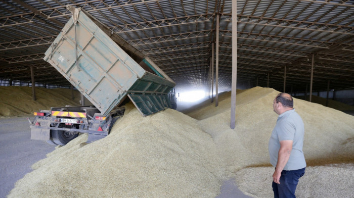 Na Produktnoj berzi najvise se trgovalo pšenicom, cene žitarica u padu