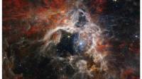Teleskop Džejms Veb snimio do sada neviđene detalje svemirske "tarantule" Nebule